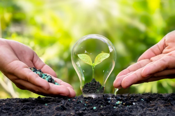 Como Criar sua Própria Ecovila: Passo a Passo para Começar