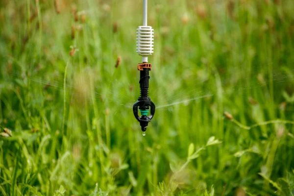 Pomares Autoirrigáveis: Tecnologia de Conservação de Água para Agricultura Off-Grid