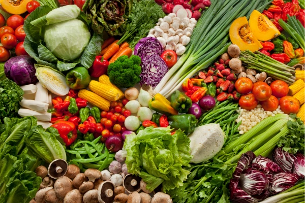 Top 10 Vegetais Indispensáveis para Cultivar no Seu Sistema Off-Grid