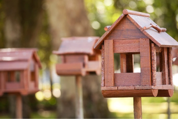 Transforme sua Propriedade em um Refúgio de Autossuficiência – Criação de Animais Off-Grid